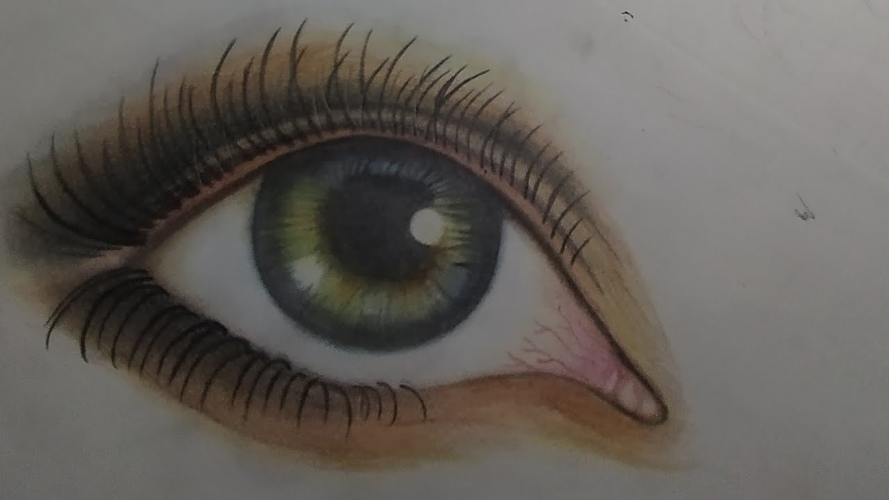 How To Draw A Realistic Eye 👀 For Beginners Step By Step (Colour ...