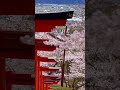 日本🗾 浮羽神社（千本鳥居 ）