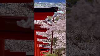 日本🗾 浮羽神社（千本鳥居 ）