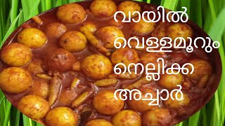 nellikka achar/gooseberry pickle/kerala style nellika achar/Easy food kerala