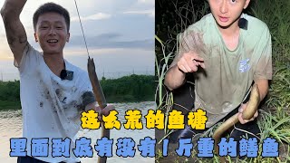 这么荒的鱼塘，里面到底有没有1斤重的鳝鱼？#户外抓鱼 #户外捕鱼 #水猴子 #乡村生活 #农村生活