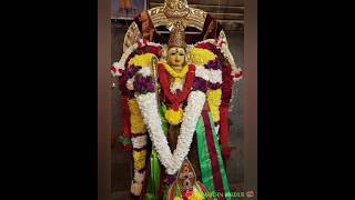 உனக்கானதை நான் தருவேன் கவலைப்படாதே #shortsfeed #shorts #murugan #tiruchendur #murugawhatsappstatus