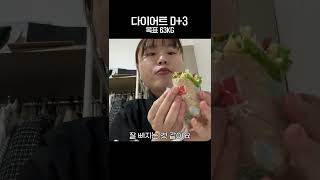 목표 63kg 다이어트 3일 차 : 다이어트 하면서 내가 지키는 것들