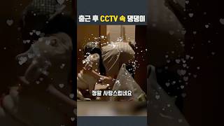 ”출근 후 CCTV 속 댕댕이“ 집사를 기다리는 강아지