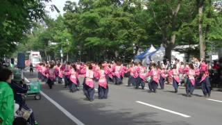 京都チーム「櫻嵐洛」　YOSAKOIソーラン祭2011　大通りパレード