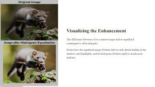 Histogram Equalization for Image Enhancement | Manual Calculation | Python Code & Explanation