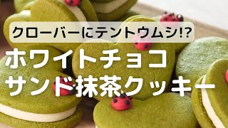 クローバーにテントウムシ!?ホワイトチョコサンドの抹茶クッキー