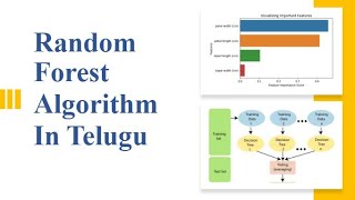 Random Forest Algorithm in telugu