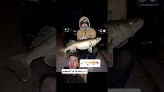 Sam with a walleye in Wisconsin #fishing #fishingvideos #walleye