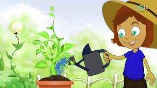 Let's Water The Plants Today Song | Animated Nursery Rhymes & Songs For  Kids