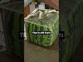 square watermelon timelapse