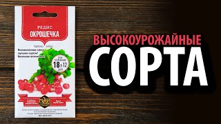 Семена редиса Окрошечка 🥗 Ассорти! Высокоурожайные сорта!