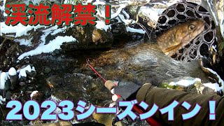 渓流解禁！今シーズン初釣行！　渓流2023 #1