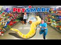 Llevando a Mi Serpiente Gigante a PETSMART I Mascotas Extremas