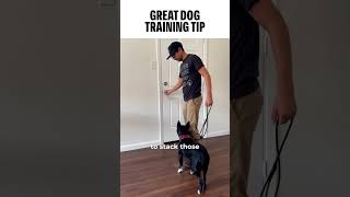 A great example of conditioning and control. #dogtrainer #dogs #pets