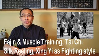 Monthly Q&A (36): Fajin & Muscle Training, Tai Chi Silk Reeling, Xing Yi as Fighting Style, & more!