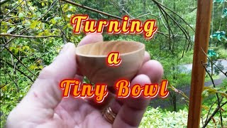 Beginning Woodturner: Turning a Tiny Bowl