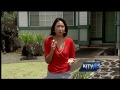 officials confirm 9 homes in mililani infested with fire ants