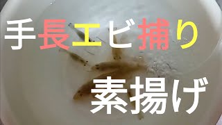 【手長エビ捕り】手長エビの素揚げが食べたくて・・・夜の木曽川に捕りに行きました！【素揚げ】