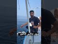 صید ماهی هامور تو پست قبلی خیلیا گفته بودند ماهی مرده ست... 😁👍 qeshm fishing dubai oman qatar