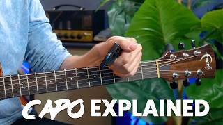 Guitar Capo Explained - What is a capo for guitar?