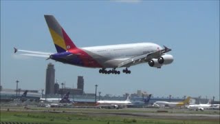 横風強風！「A380 超低空迫力のゴーアラウンド！」ASIANA 16R 成田空港さくらの山　hironuma