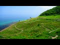 能登半島の白米千枚田 208・4k