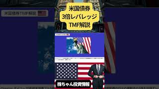 米国債3倍レバレッジTMF #投資