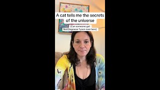 A Cat Tells Me The Secrets Of The Universe