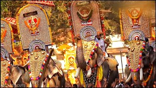 ചീരംകുളം പൂരം കുന്ദംകുളം 2023 ,cheeramkulam pooram kunnamkulam 49 elephants