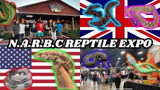 BRIT visits BEST NARBC Reptile Show in America! | 2023 Walkthrough Part 1