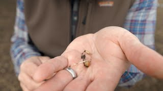 Planting Cover Crops