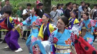 2024原宿スーパーよさこい 1日目 七福よさこい連祝禧 NHK前ストリート