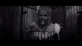 DIE ANTWOORD - TOMMY CANT SLEEP