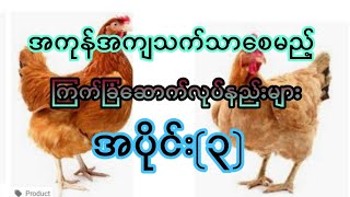 အကုန်အကျသက်သာစေမည့်ကြက်ခြံဆောက်လုပ်နည်းများအပိုင်း(၃)#akb entertainment#youtube# subscribe#