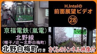 嵐電北野線（帷子ノ辻－北野白梅町） 「さくらのトンネル」映像付き 前面展望ビデオ