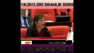 Meral Danış Beştaş: Ülkü ocaklarına insanlık dersi  verdi... #hdp #erkanêhecî