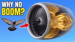 Why Don't Bird Strikes Destroy Jet Engines?