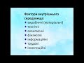 Еволюційні засади розвитку електронної комерції