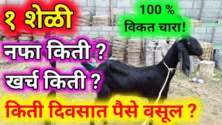 1 शेळी नेमकं किती नफा देते नवीन हिशोब।bakri palan।Sheli palan kharch।goat farming Profit calculation