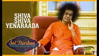 Shiva Shiva Yenaraada | Shivaratri | Sai Darshan 293