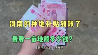 2024年种地补贴发下来了，一亩地能领多少钱？看看比你那边高吗？