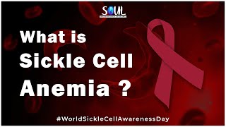 What is Sickle Cell Anemia ? World Sickle Cell Awareness Day | Sattvic Soul Foundation