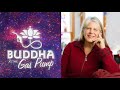 Jill Bolte Taylor - Whole Brain Living - Buddha at the Gas Pump Interview