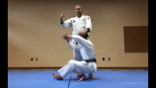 Nihon Goshin Aikido - Handshake (Sankyo) Applications