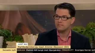 Partiledarintervju - Jimmie Åkesson (SD) - Nyhetsmorgon (TV4)
