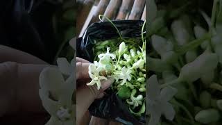 ផ្កាចុងអង្ករ Khmer Flower For Soup #shorts