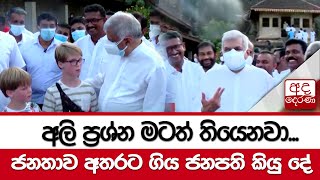 අලි ප්‍රශ්න මටත් තියෙනවා.... ජනතාව අතරට ගිය ජනපති කියු දේ...