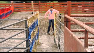 Johnny Knoxville You Can't Roller Skate in a Buffalo Herd
