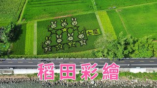 基隆河,宜蘭河畔 稻田彩繪 / 滑水練習 /  4K 空拍  /  2023.05